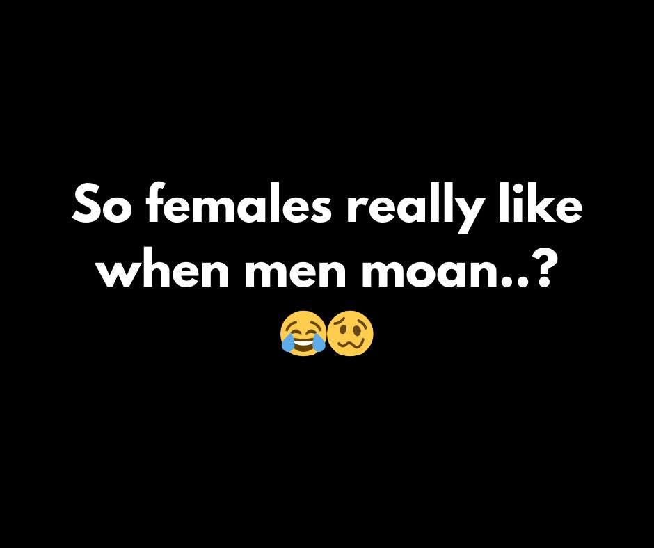 MickeyRacks's tweet image. 