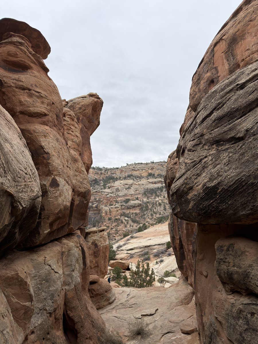 new year in the colorado national monument