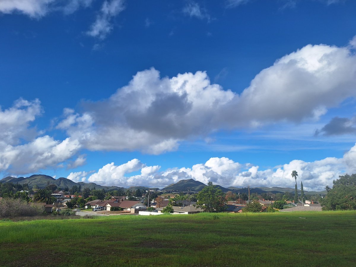 CLee71's tweet image. 