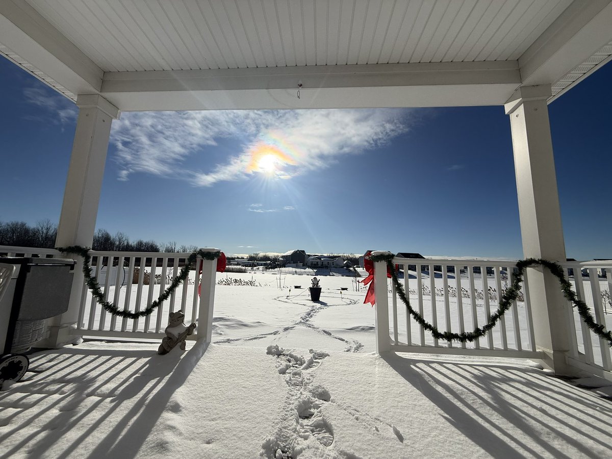 阳光牡丹姐~SunshinePeonySister🌤️🌺👩‍🌾 tweet media