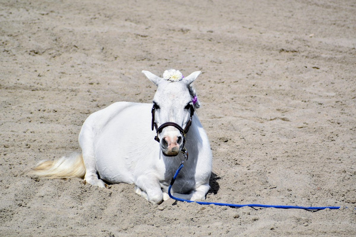 えっ👀！！分かった。 サカナクションの12枚目のシングルジャケットを
