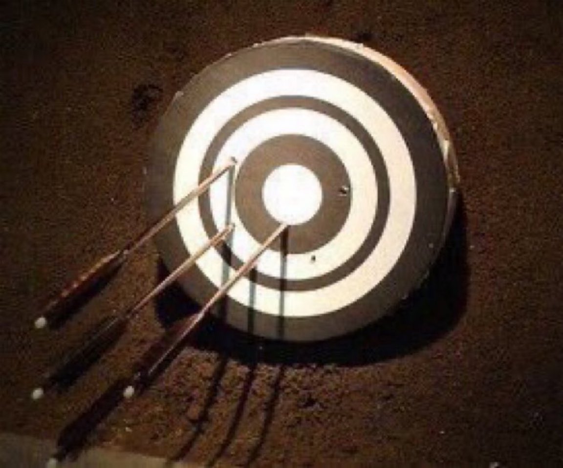 おはようございます。今日は『初夢の日』だそうです。1年を占う意味でも、皆中する夢を見たいものですね。 当店は本日も年末年始休業です。