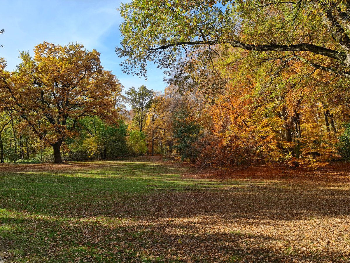 Ein Lächeln wirkt Wunder.