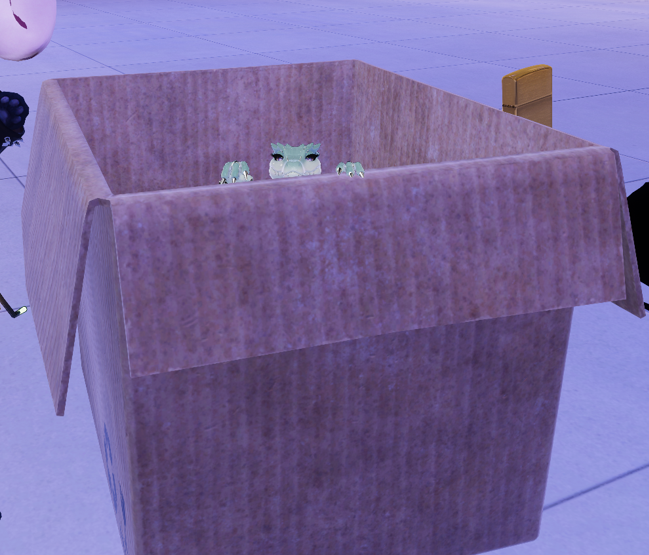 KitCatPanthers's tweet image. A tiny lil thing