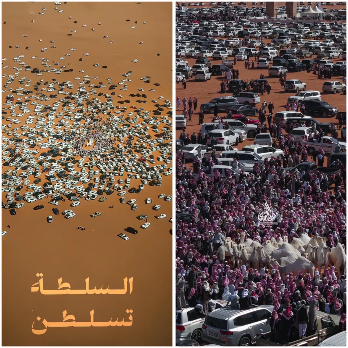 صور من مسيرة نخبة السلطة 🐪🥇
🔶منقية محمد بن ناصر السلطة المغيري 🔶
تصوير : منير العتيبي 📷