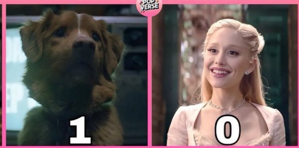 nanszcocazero's tweet image. 