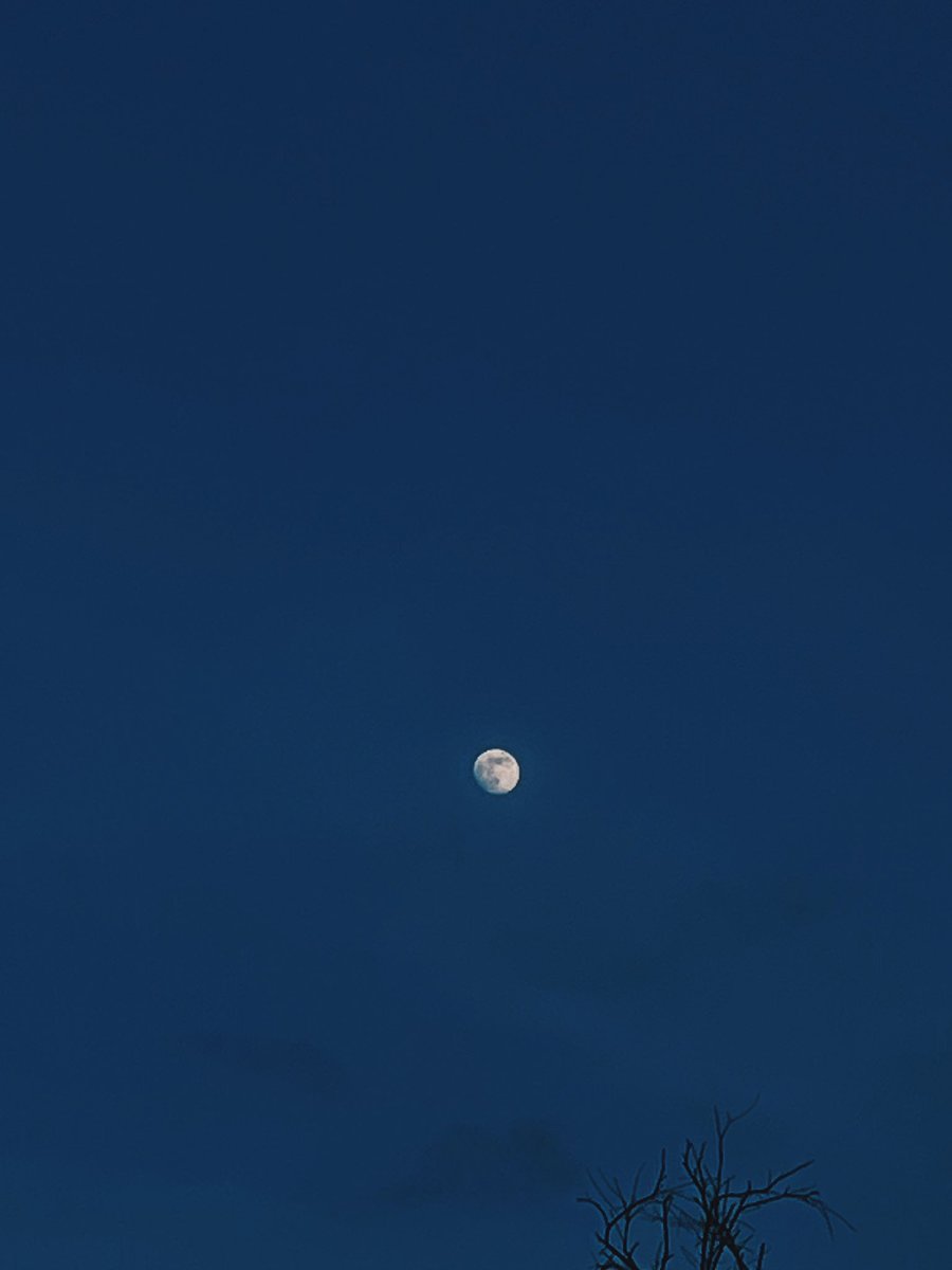 SrtaGal's tweet image. 01/01/2026 🌔