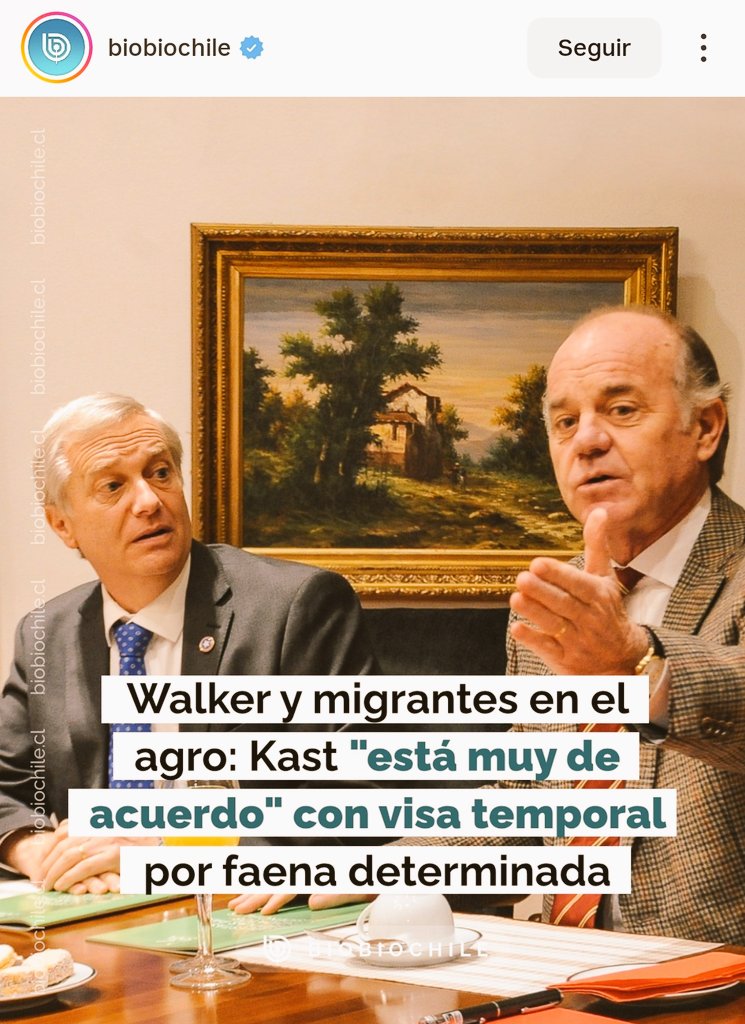 Vulgarcito tweet media