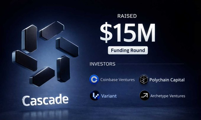 Solo Top tweet media