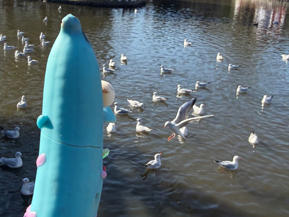 また会ったな、青いチョコバナナだ

今年も鳥を見るぜ