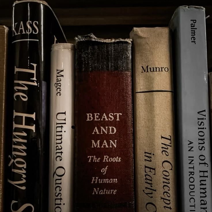 MrsMoonyBlack's tweet image. ⋆ ˚｡⋆୨୧˚ 𝑳𝒊𝒗𝒓𝒐𝒔 𝒍𝒊𝒅𝒐𝒔 𝒅𝒆 2026

"Histórias são uma forma de preservar a si mesmo. De ser lembrado. E de esquecer.
Livros, ela descobriu, são uma forma de viver mil vidas — ou de encontrar força em uma vida muito longa."
- A Vida Invisível de Addie LaRue