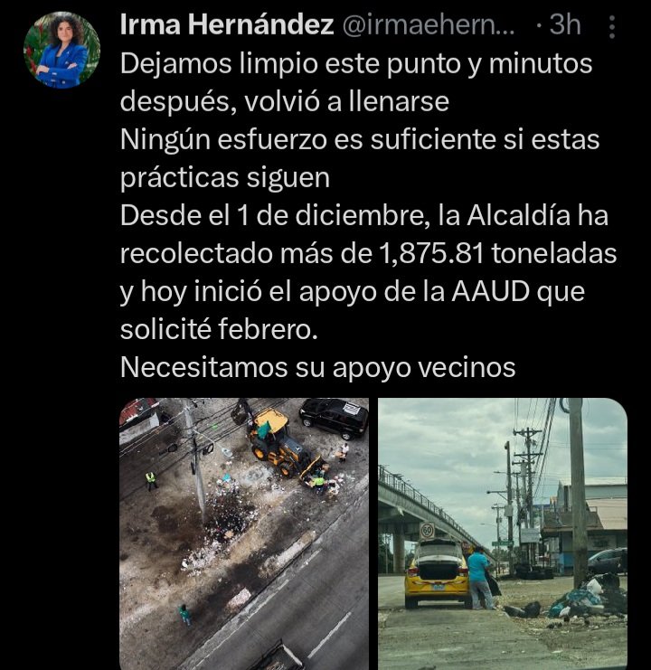 Linda Bran tweet media