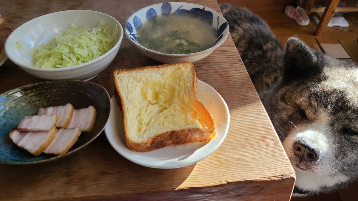 nanadaisuke22's tweet image. 今朝の朝ごはん。
ベーコンは、かっぱさんが年末から仕込んで、元旦に燻したやつ。おいしい😊
パンは金谷ホテルベーカリーのやつで、サクサクでおいしいです。
ももちゃんが狙ってる～♪