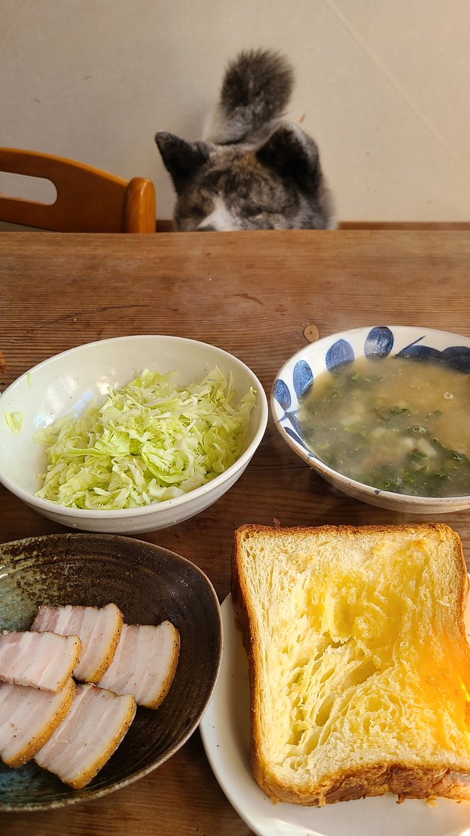 nanadaisuke22's tweet image. 今朝の朝ごはん。
ベーコンは、かっぱさんが年末から仕込んで、元旦に燻したやつ。おいしい😊
パンは金谷ホテルベーカリーのやつで、サクサクでおいしいです。
ももちゃんが狙ってる～♪