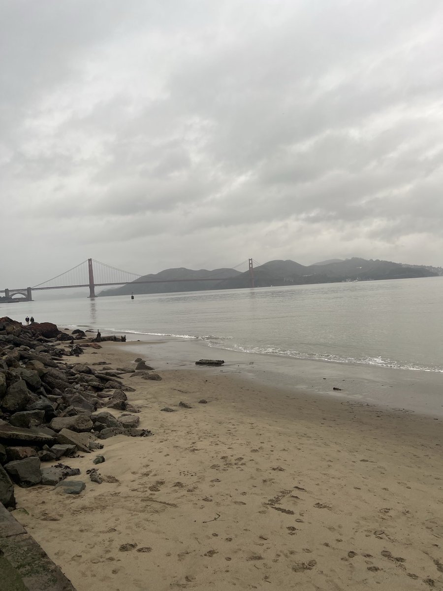 parinmaru89's tweet photo. ‘26 here we go 🌉🌧️💫 https://t.co/OsUplt0dCg