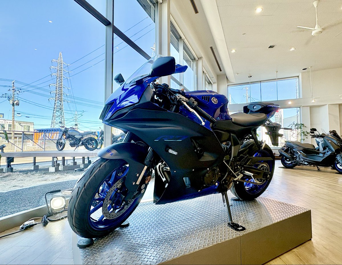 明けましておめでとうございます🎉 2026年もどうぞよろしくお願い致し