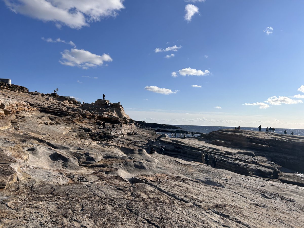 futurefitting's tweet image. 千畳敷