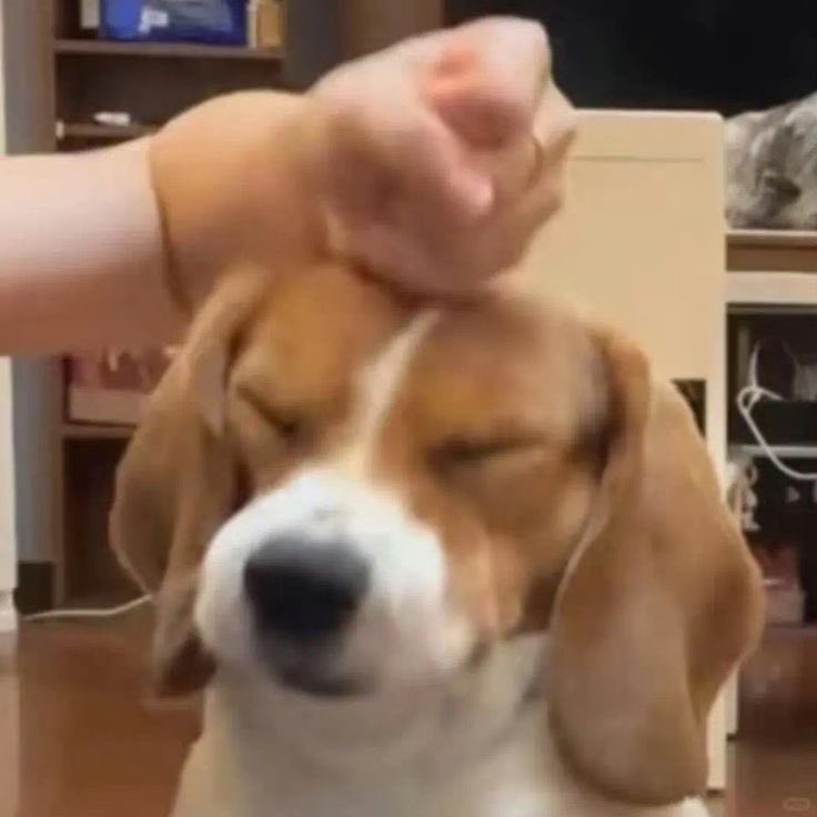 tattoos i would get if i had money (@twtpictures) on Twitter photo 