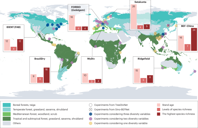 NatRevBiodiv's tweet photo. New online! Ecological insights from three decades of forest biodiversity experiments https://t.co/6kZjqnOT14 https://t.co/GesmgXzona