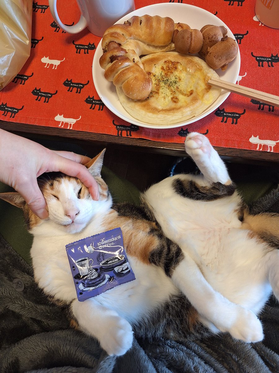 kawaii_nekoniko's tweet image. 去年買いすぎたパンとベビーカステラたべました