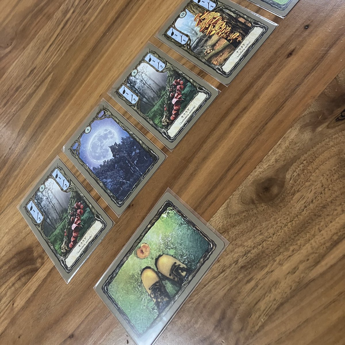 nusfrog's tweet image. 森をお散歩でキノコ狩り🍄
『フンギ』

年末の皆さんのベストをメモしてますがその１つ。2人用ボドゲの金字塔🗼フンギ初トライ！交互に森を歩いて収穫、貯まったらフライパンでジュージュー🍳楽しぃ😆他にもフロマージュ、オーディン、タワーアップ、リビングフォレストデュエル、オレゴンが気になる🤤