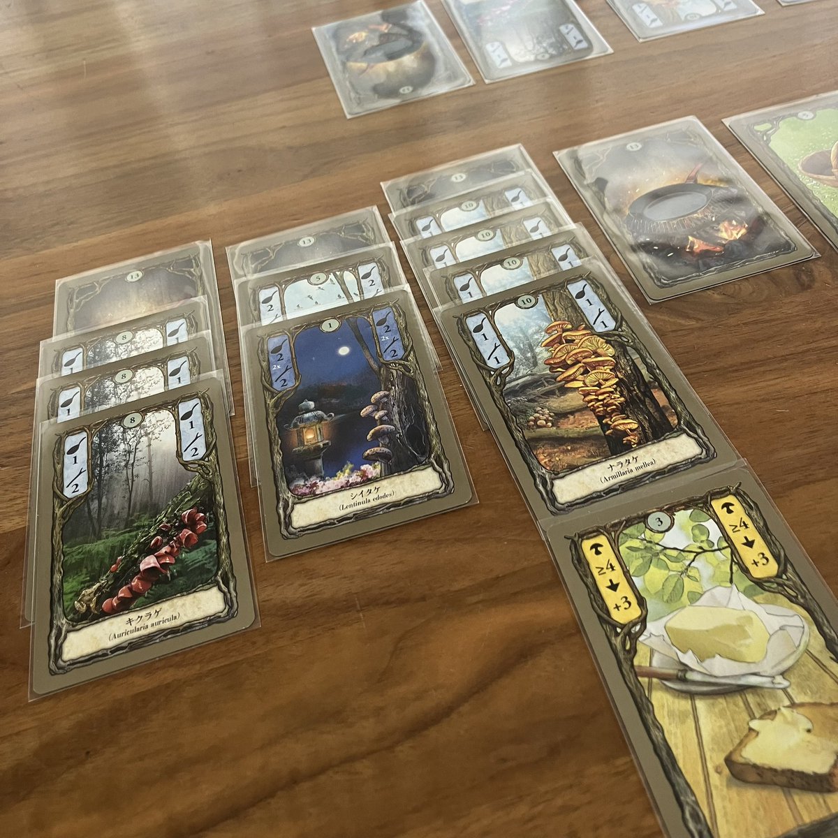 nusfrog's tweet image. 森をお散歩でキノコ狩り🍄
『フンギ』

年末の皆さんのベストをメモしてますがその１つ。2人用ボドゲの金字塔🗼フンギ初トライ！交互に森を歩いて収穫、貯まったらフライパンでジュージュー🍳楽しぃ😆他にもフロマージュ、オーディン、タワーアップ、リビングフォレストデュエル、オレゴンが気になる🤤