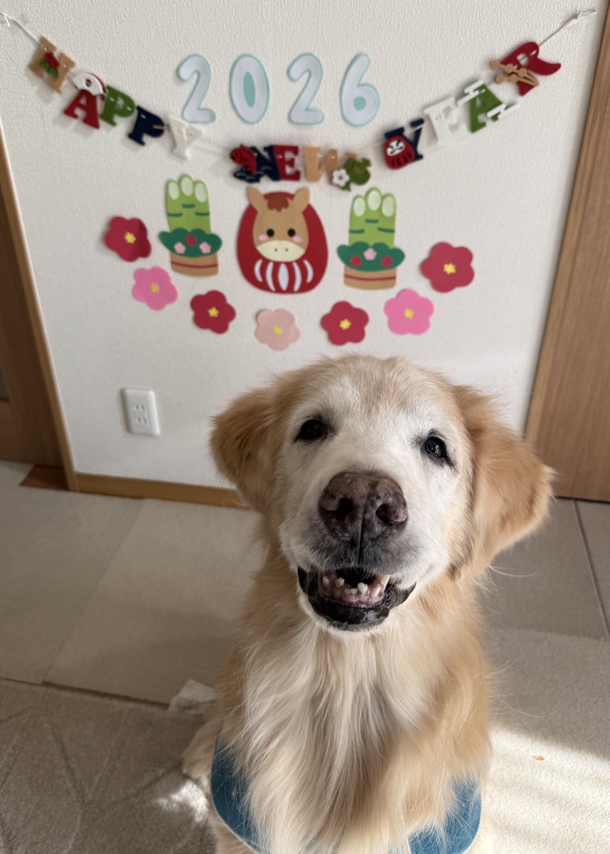 風太 (@kazenokofutan) / Posts / X