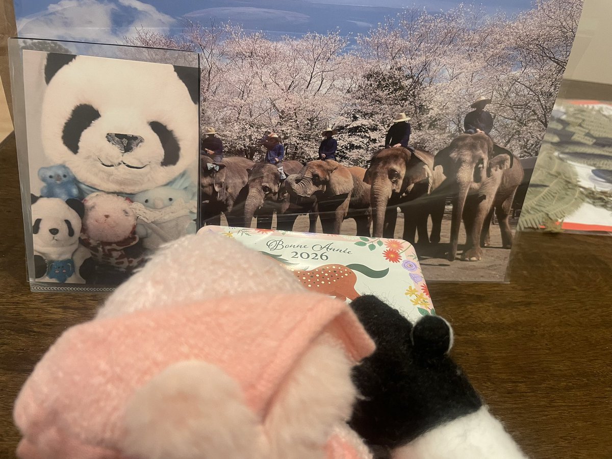 皆様
明けましておめでとうございます🐴
今年のラッキーカラーは
白と黒なんですって❣️
もぉ丸ごとラッキーカラーのあの子たち🤣🤣
君たちが幸せならそれだけで嬉しいよ
皆さま今年もよろしくお願いします(ㅅ´ ˘ `)

可愛いこの子達の再会です
ぷはっ(๑*°∀°๑)可愛い💓
ものすごく嬉しかった😭