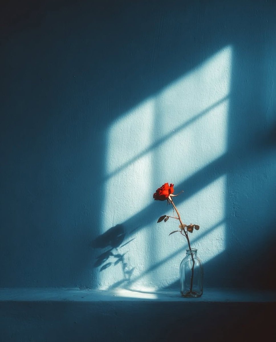 miniarchillect's tweet image. 