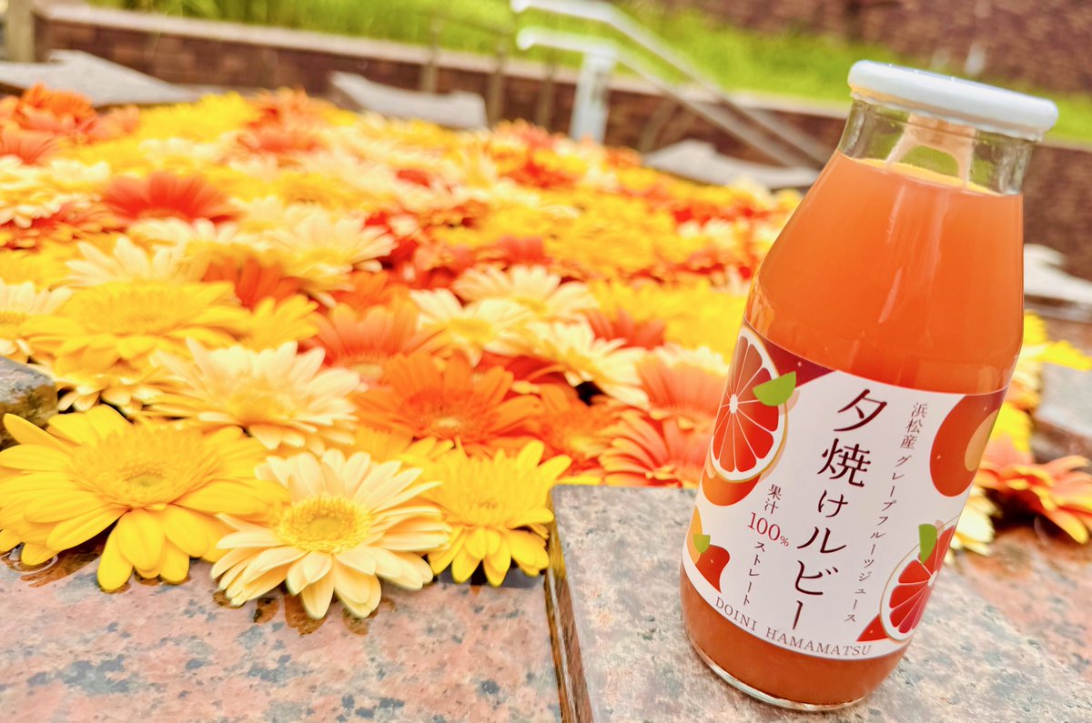 【公式】夕焼けルビー🥤✨ tweet media