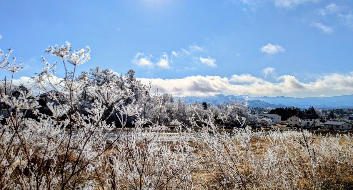 LePasseThe's tweet photo. Bonne année！
旧年中は御愛顧いただきありがとうございました。
本年もどうぞ宜しくお願いいたします。

2026年は明日1月3日(土)
AM11時より営業いたします。
本年も美味しいお茶とお菓子、寛ぎの時間を過ごしていただけますように。
お待ちしております🫖☕ https://t.co/JYYP29rvVe