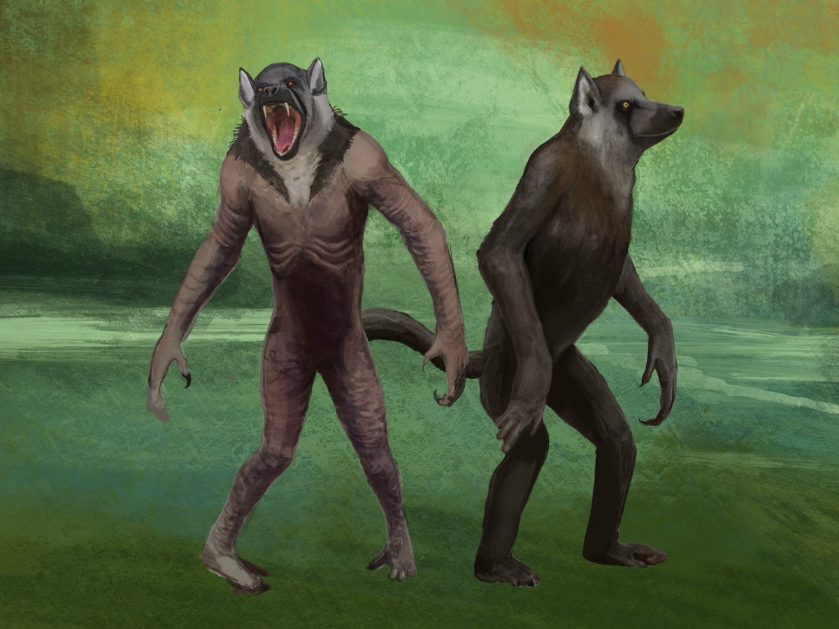 Svardeka's tweet image. When Falerkhan / werewolves fail to satisfy their caloric demands, the magic that naturally gives the’ their powers turns them into ravenous demons