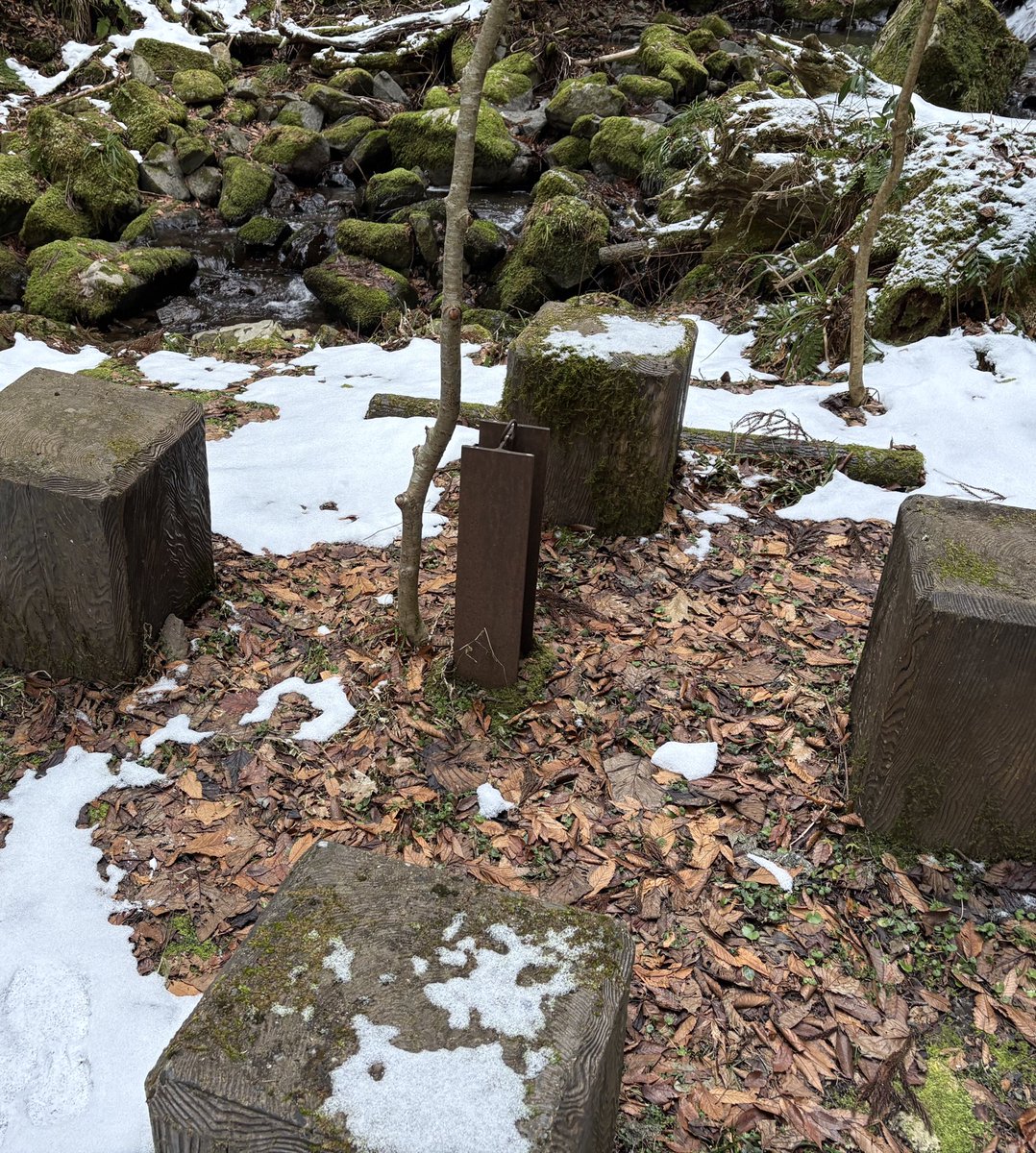 Automata_Fish's tweet image. H鋼　自生