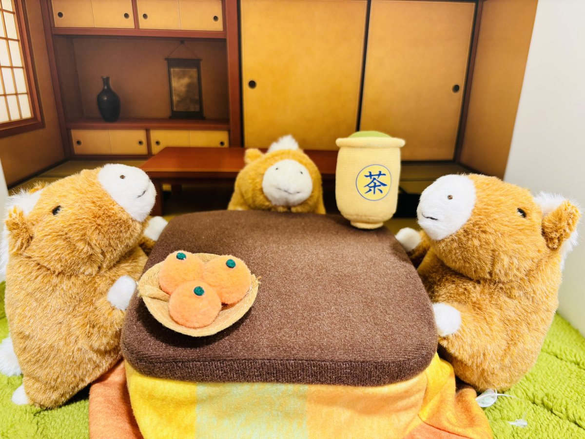 ぽちゃまる の『ポニー』を歌番組で、 Mrs. GREEN APPLE様にご使用