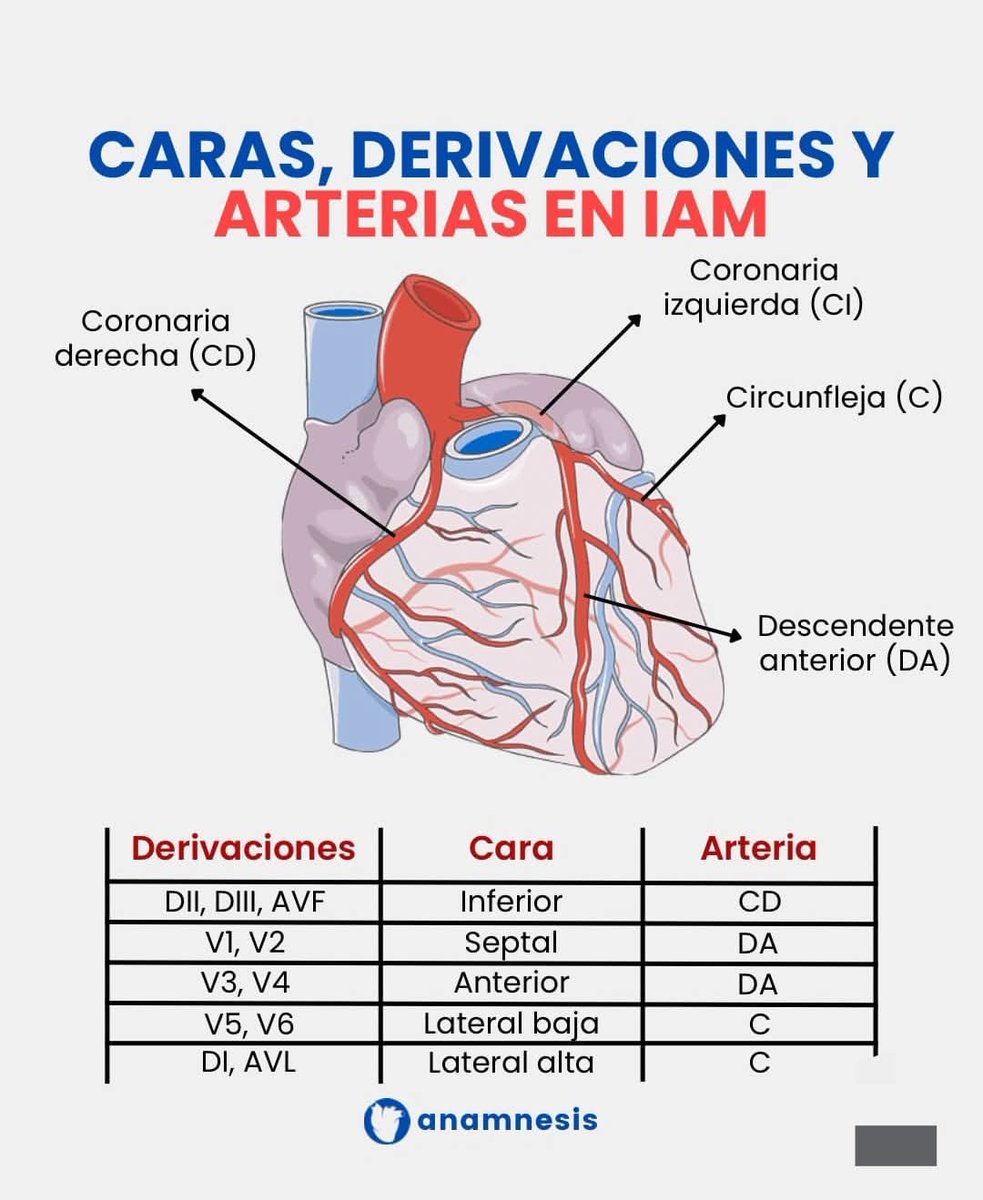 AldecoBravo's tweet image. 🫀🫀🫀