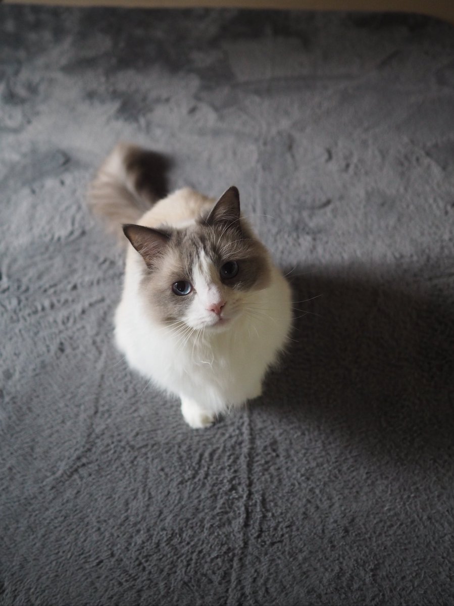 あけましておめでとうございます！🎉
(生存報告兼ねて😅)