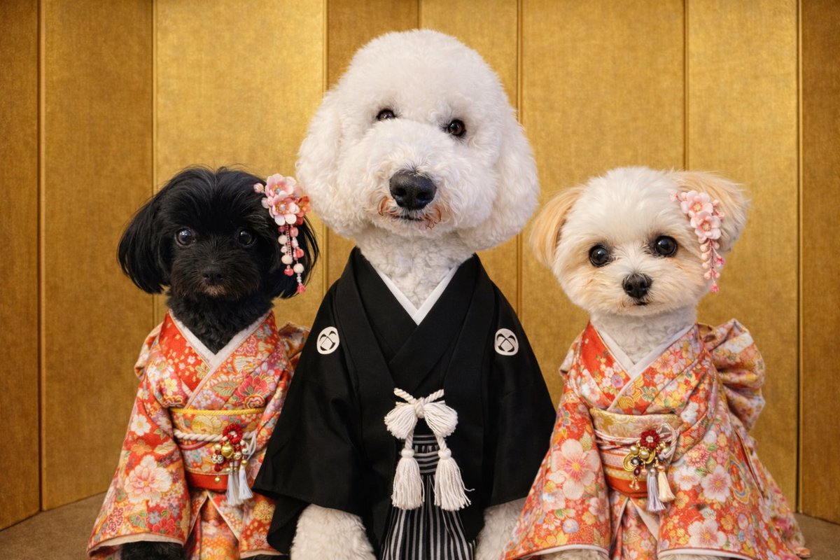あけましておめでとうございます🎍
皆様にとって幸多き年となりますように。

本年もどうぞよろしくお願いいたします。