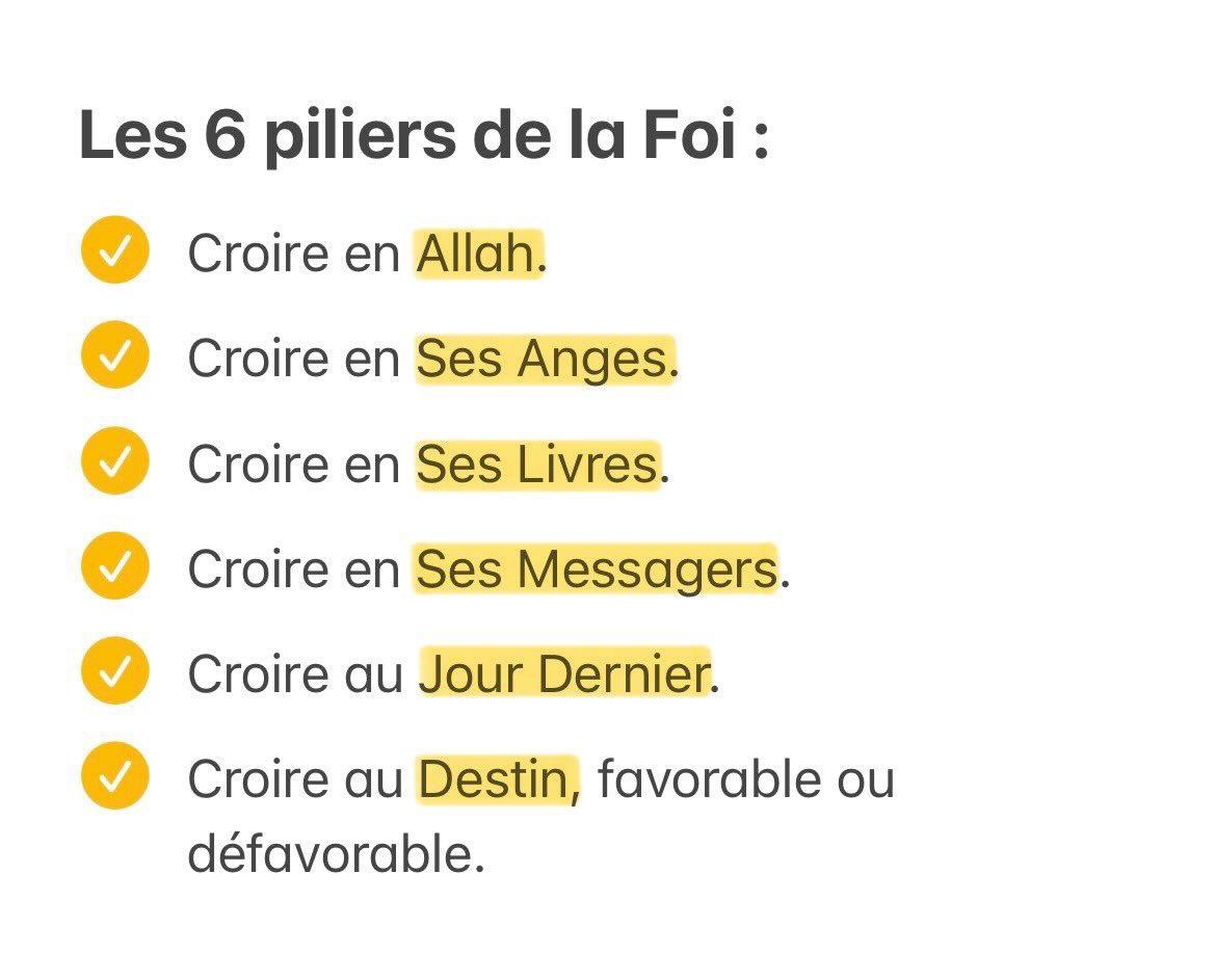 RappelsFollow_'s tweet image. Les 6 piliers de la foi :