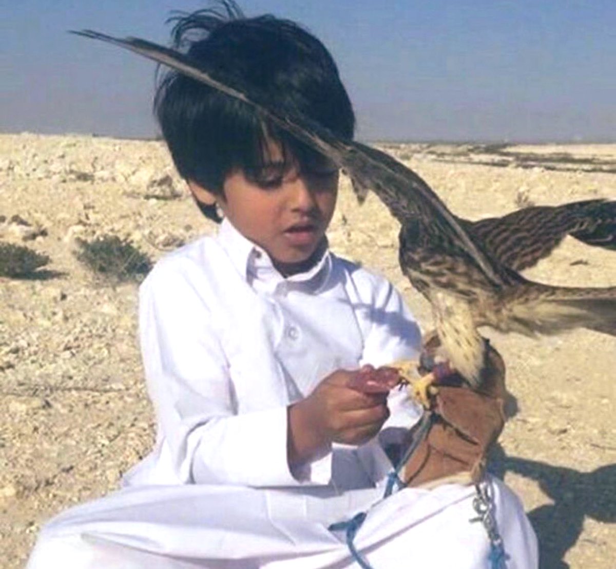 معكاز شعر tweet media