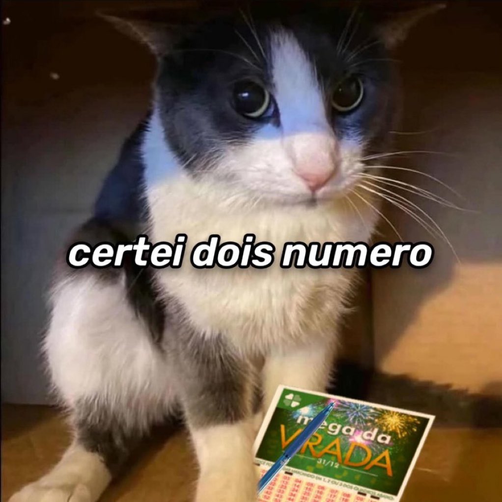 gatinarios's tweet image. 