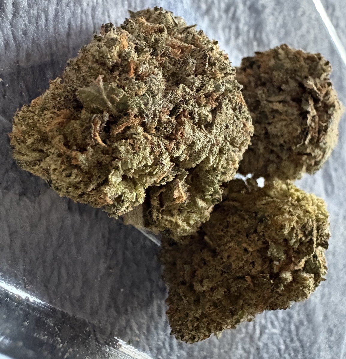 Moving Pictures tweet media