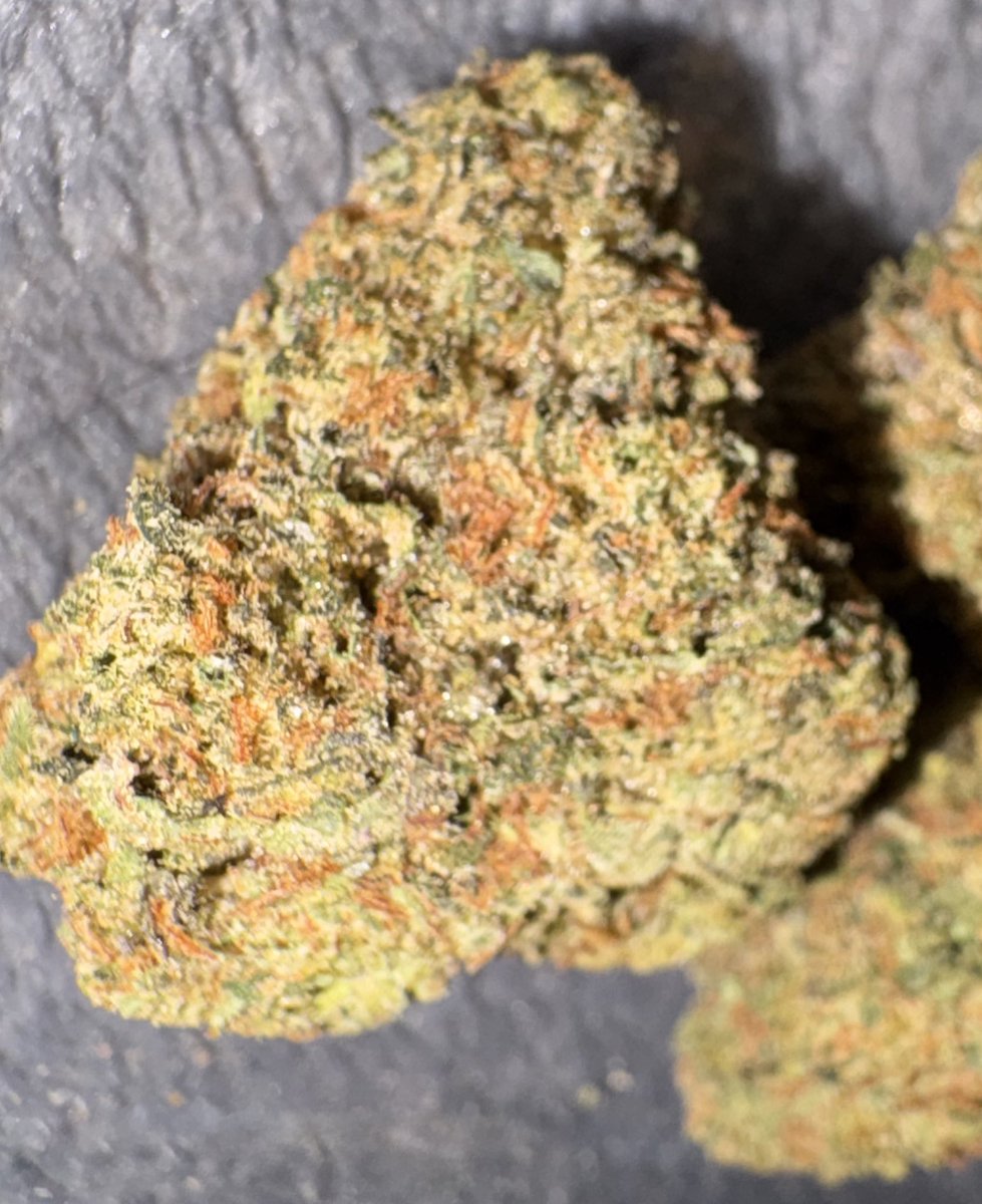 Moving Pictures tweet media