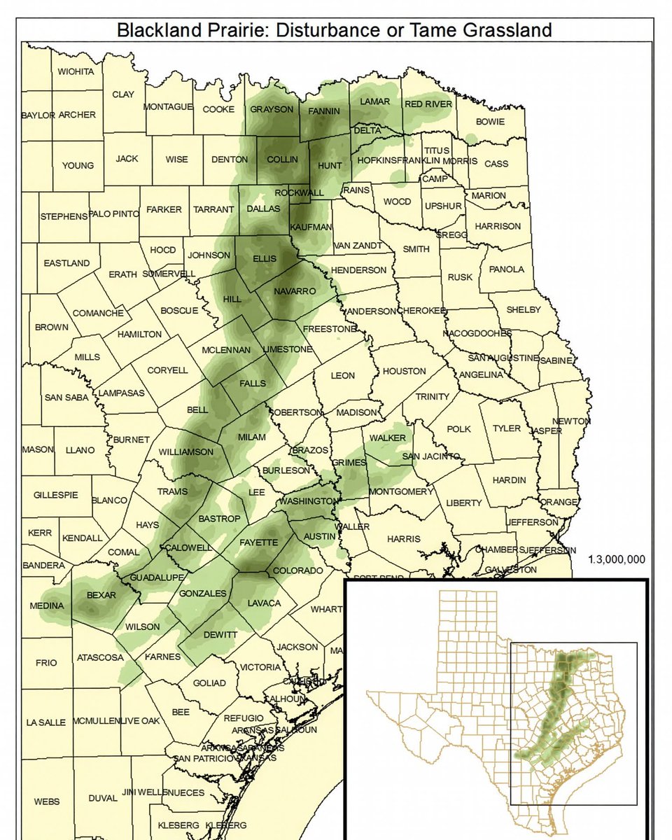 brokenstarter's tweet image. maps &amp;lt;3