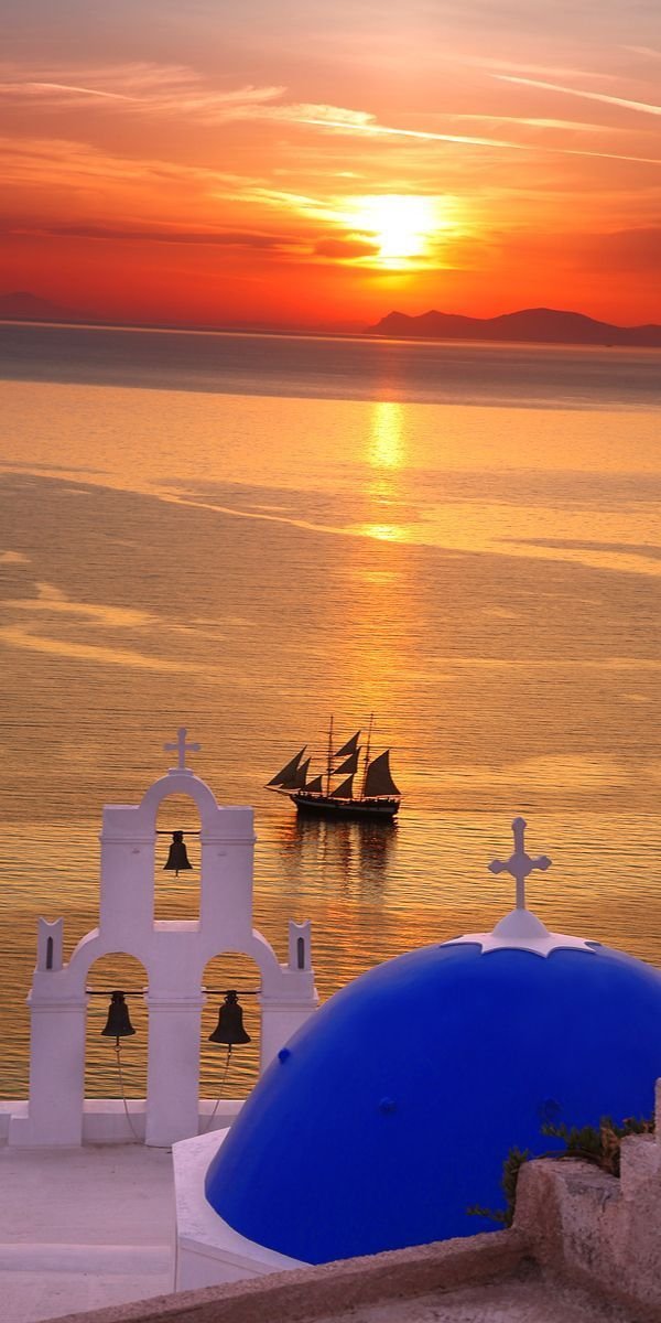 ~*~ Saffron ~*~ tweet media