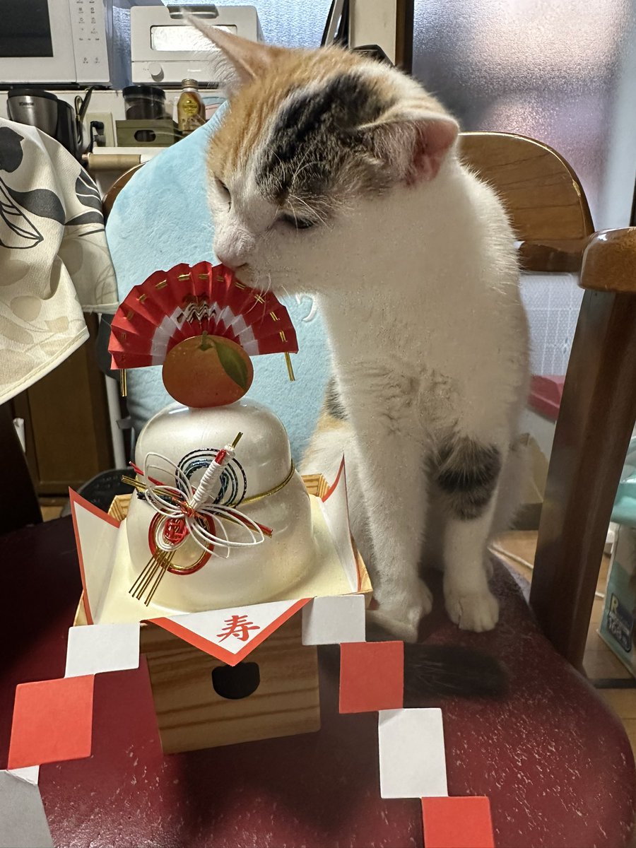 ぽんさま SRIXON ZX5 S Diamana ZX for IRON｜Alpen Online 公式オンラインストア