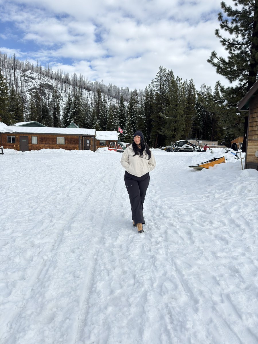 samantha⁷ ꕤ tweet media