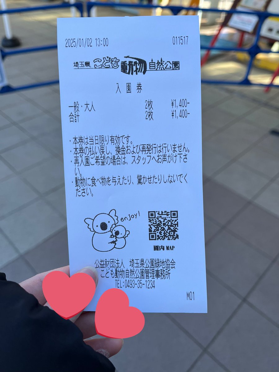 1年前の今日は初めてコアラを見にSCZに行きました🐨 その2日後には多摩