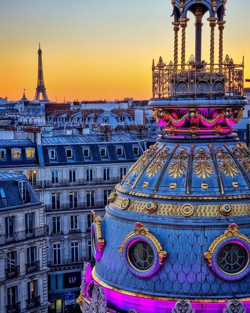 ~*~ Saffron ~*~ tweet media