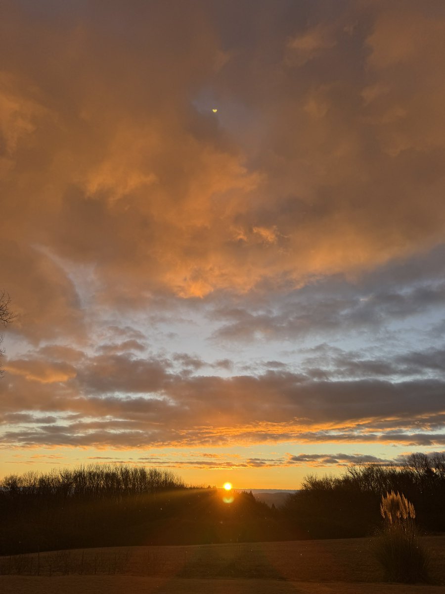 micromansunrise's tweet image. 2026年1月1日、元旦。

美しい初日の出。

粉雪のトッピング。

きっととんでもない一年になるぞ😆

幸先のいいスタートに大感謝。

Good Morning Sunrise☀️

#一寸先はひかり 
#lightup 
#sunrise