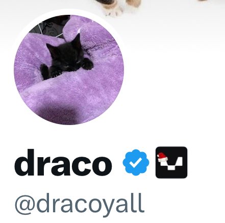 CoinJunkieee's tweet photo. $GoldenWhale 

Dracoyall, who started this, has launched repeated projects throughout the year. This is nothing but a scam sale—sell and get out. You have been warned. https://t.co/o5cTAJJiFW